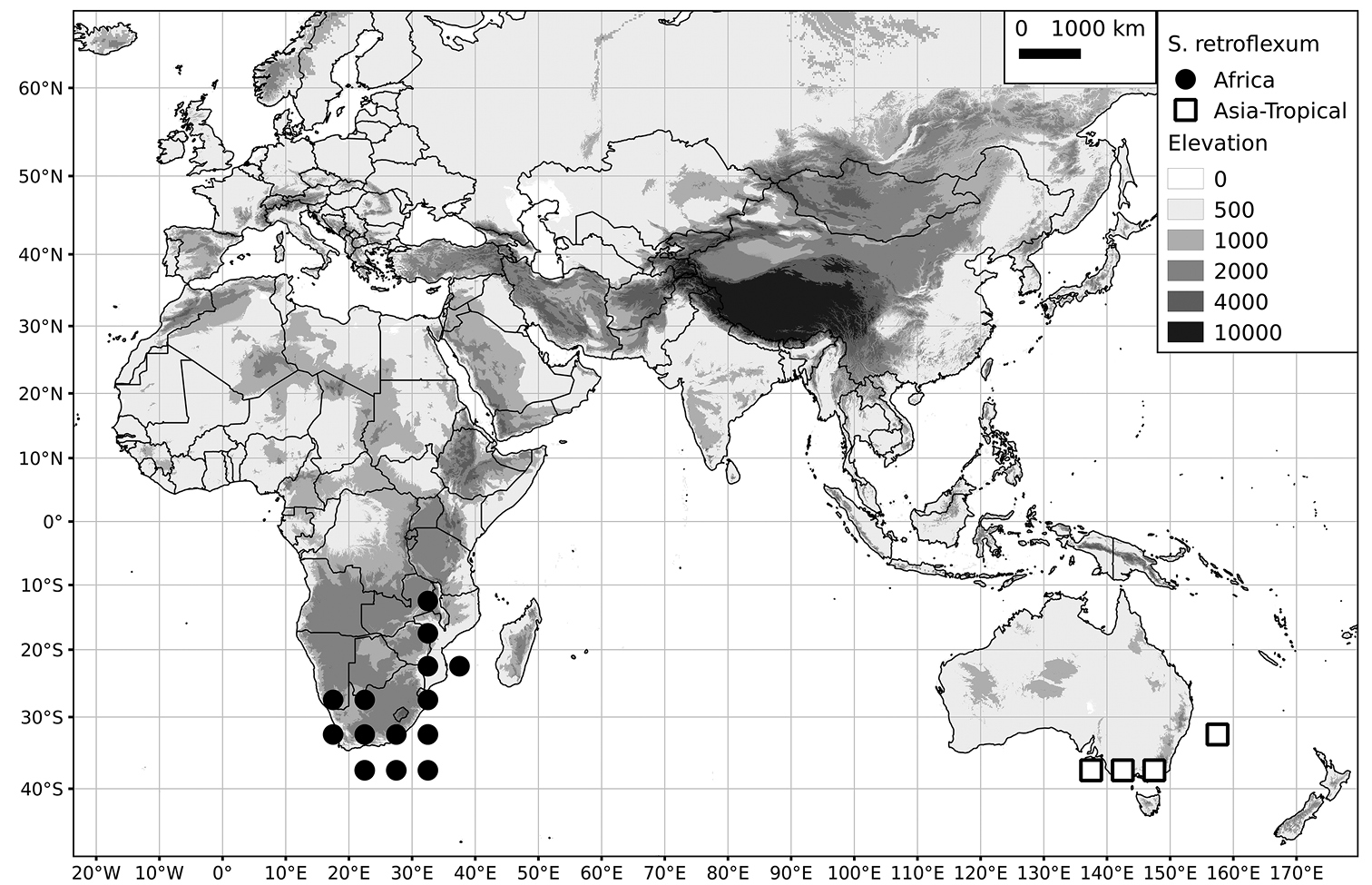 A revision of the Old World Black Nightshades (Morelloid clade of Solanum L., Solanaceae)