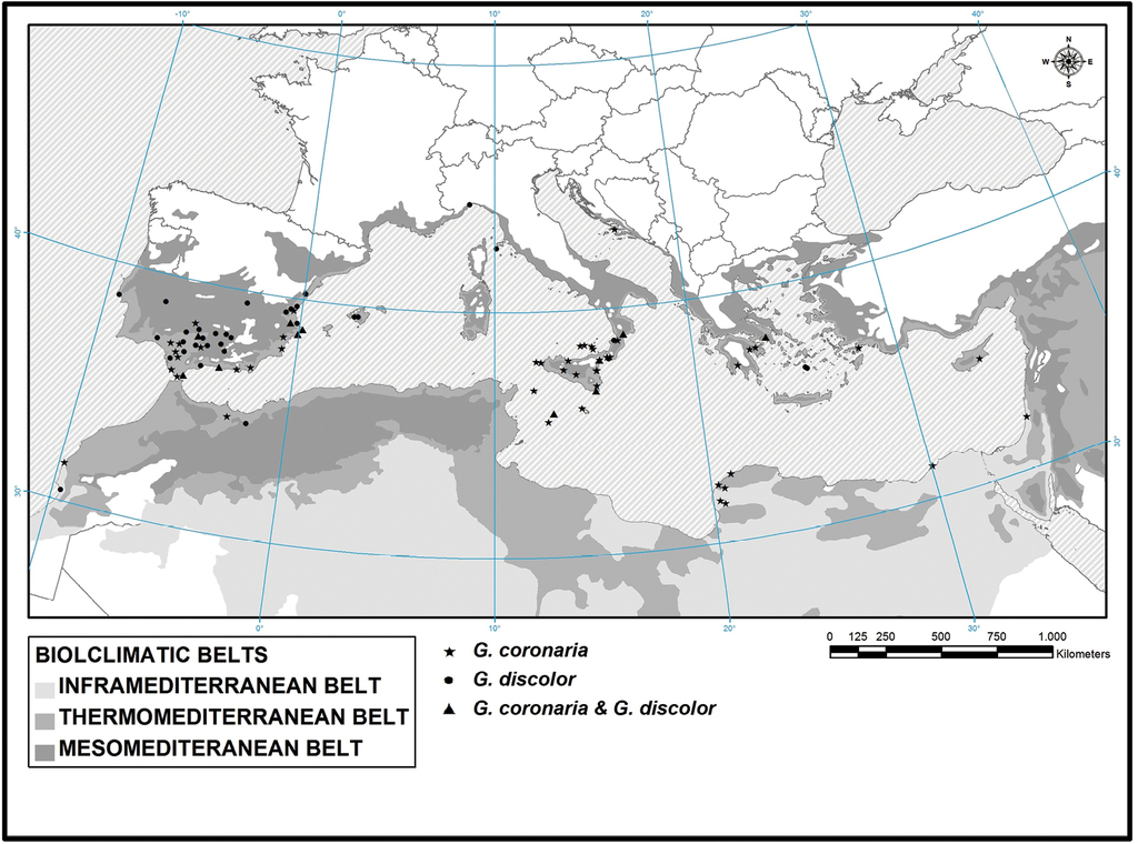 Morphometric Analysis And Bioclimatic Distribution Of Glebionis Coronaria S L Asteraceae In The Mediterranean Area